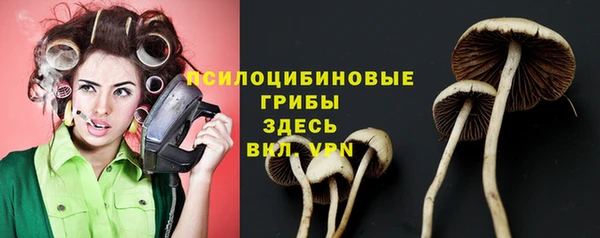 молекула духа Инта