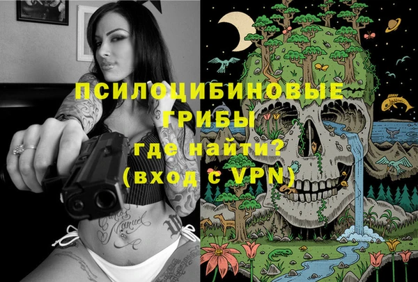 молекула духа Инта