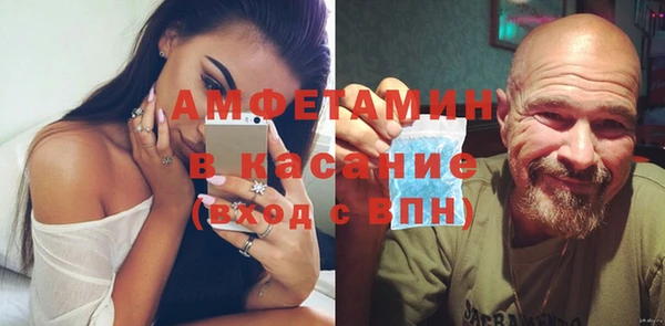 сатива Новокубанск